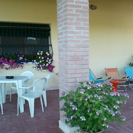 Villa Gioconda Resort Migliarino Exteriör bild